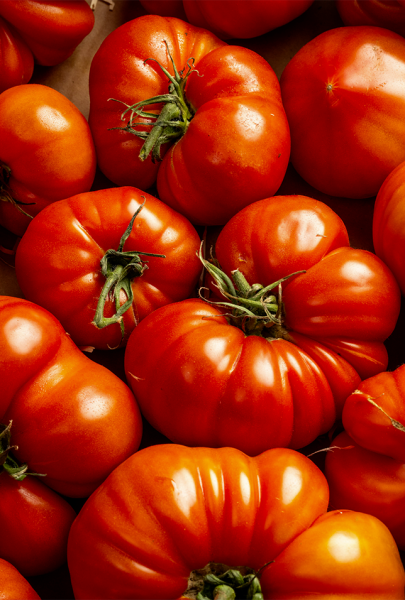 Galerie - Dame Jeanne - Restaurant bistronomique Marseille