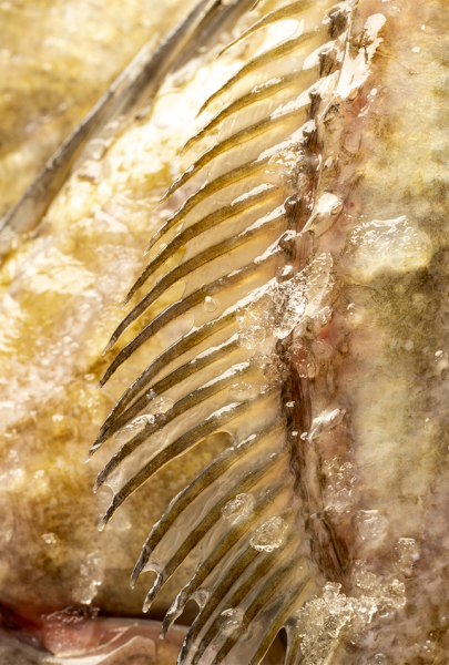 Galerie - Dame Jeanne - Restaurant bistronomique Marseille