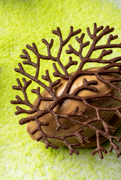 Galerie - Dame Jeanne - Restaurant bistronomique Marseille