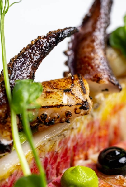 Galerie - Dame Jeanne - Restaurant bistronomique Marseille