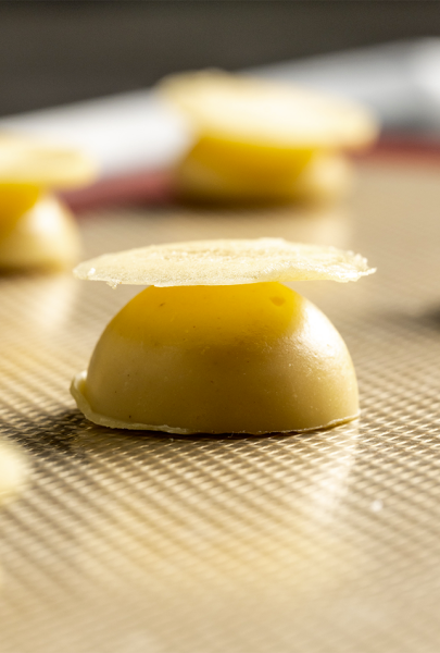 Galerie - Dame Jeanne - Restaurant bistronomique Marseille