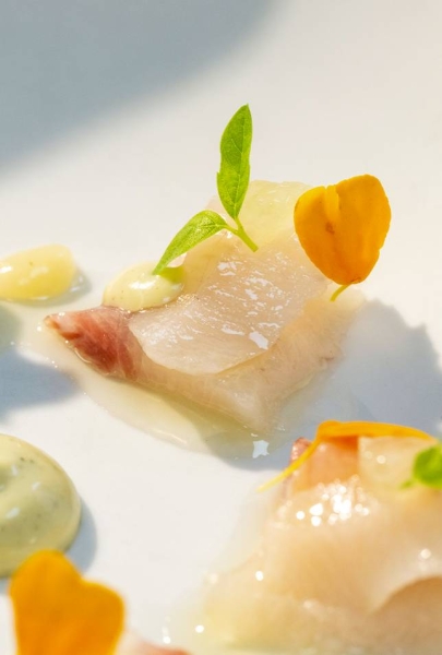 Galerie - Dame Jeanne - Restaurant bistronomique Marseille