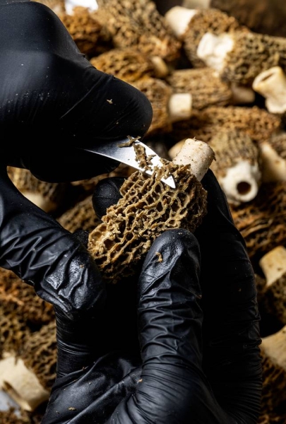 Galerie - Dame Jeanne - Restaurant bistronomique Marseille